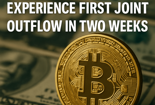 Bitcoin ETFs Experience First Joint Outflow in Two Weeks image