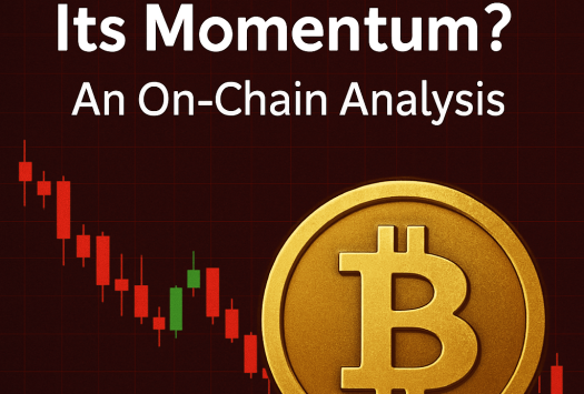 Is Bitcoin Losing Its Momentum? An On-Chain Analysis image