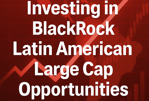 Investing in BlackRock Latin American Large Cap Opportunities image