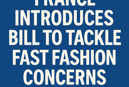 France Introduces Bill to Tackle Fast Fashion Concerns image