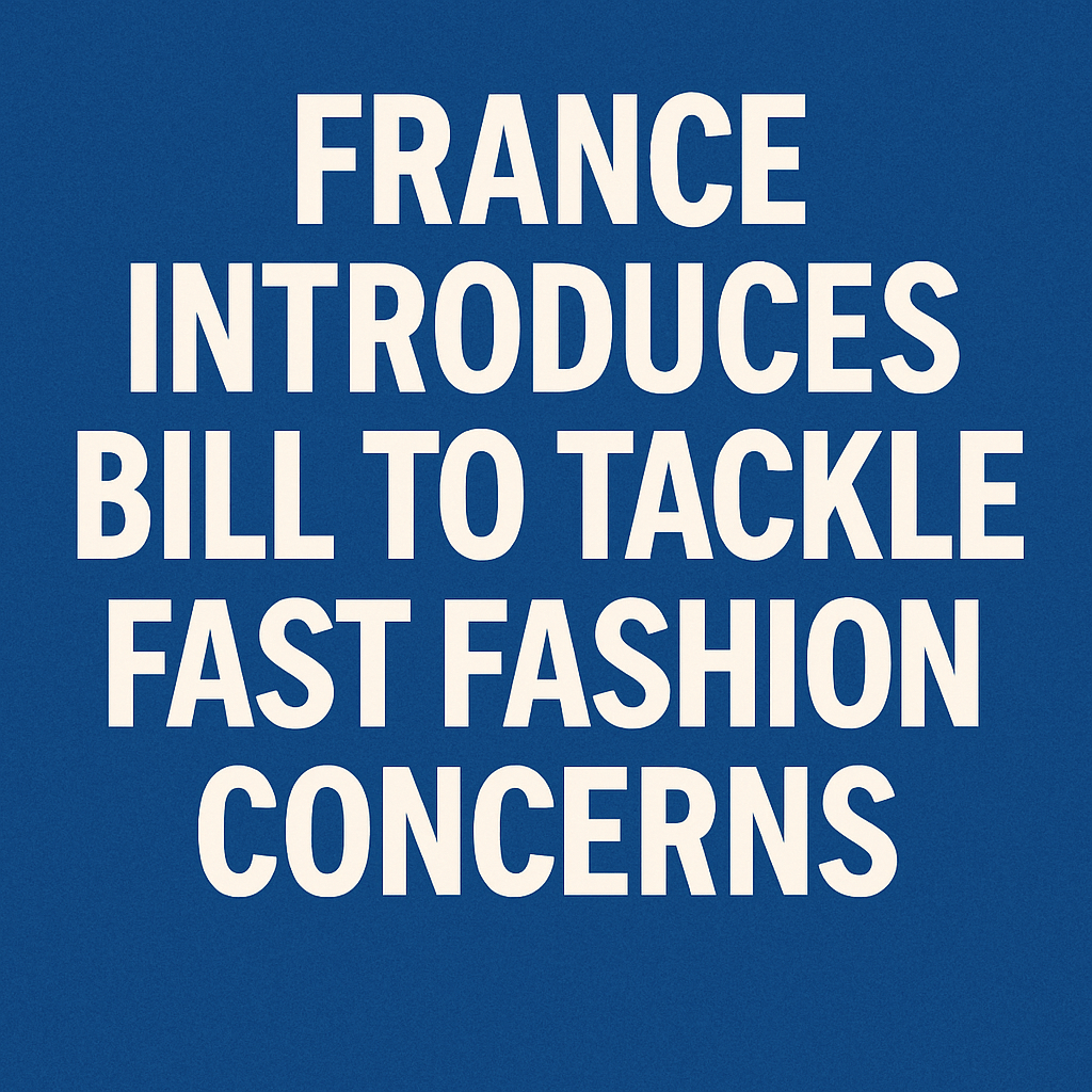France Introduces Bill to Tackle Fast Fashion Concerns image