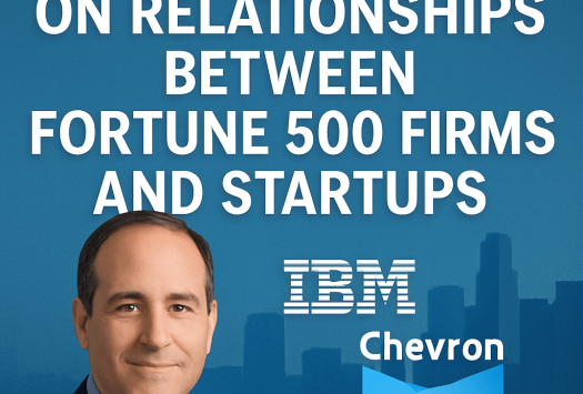 Scott Lenet on Relationships Between Fortune 500 Firms and Startups image