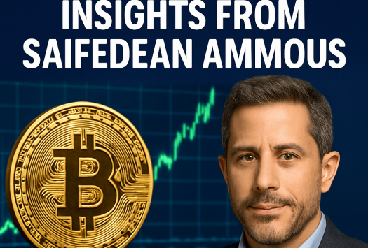 Bitcoin Price Peaks: Insights from Saifedean Ammous image