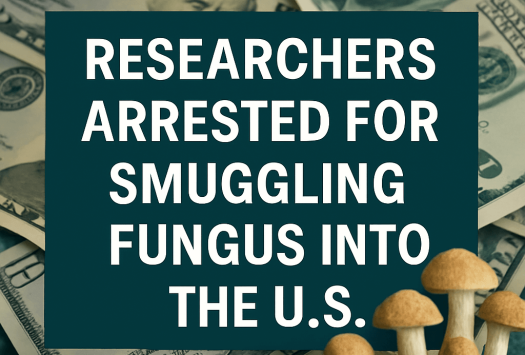 Researchers Arrested for Smuggling Fungus into the U.S. image
