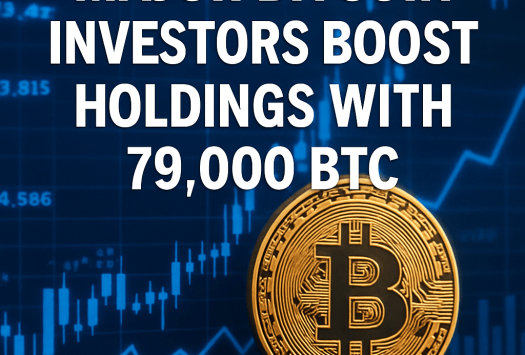 Major Bitcoin Investors Boost Holdings with 79,000 BTC image