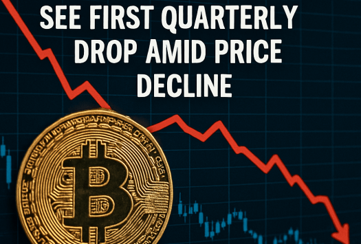 Bitcoin ETF Holdings See First Quarterly Drop Amid Price Decline image