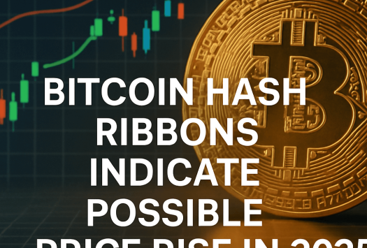 Bitcoin Hash Ribbons Indicate Possible Price Rise in 2025 image