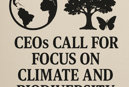 CEOs Call for Focus on Climate and Biodiversity Challenges image
